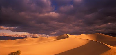 ابيات شعر مدح وفخر قصيره