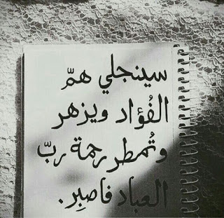 حكم عن الصبر